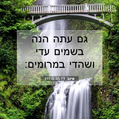 Picture 07 - איוב 16:19 HEB - גם עתה הנה בשמים עדי ושהדי - Bible Verse Picture
