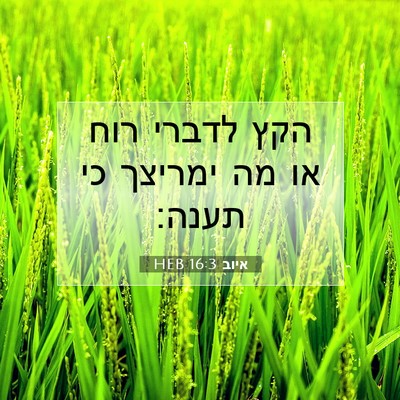Picture 07 - איוב 16:3 HEB - הקץ לדברי רוח או מה ימריצך - Bible Verse Picture