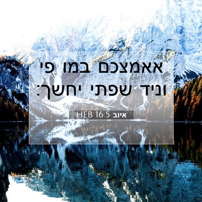Picture 07 - איוב 16:5 HEB - אאמצכם במו פי וניד שפתי - Bible Verse Picture