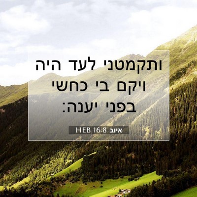 Picture 07 - איוב 16:8 HEB - ותקמטני לעד היה ויקם בי - Bible Verse Picture