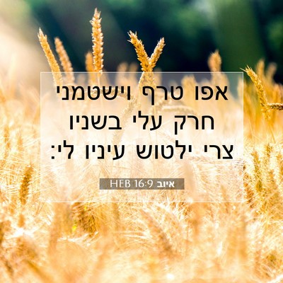 Picture 07 - איוב 16:9 HEB - אפו טרף וישטמני חרק עלי - Bible Verse Picture