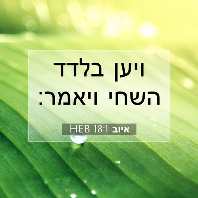 Picture 07 - איוב 18:1 HEB - ויען בלדד השחי - Bible Verse Picture