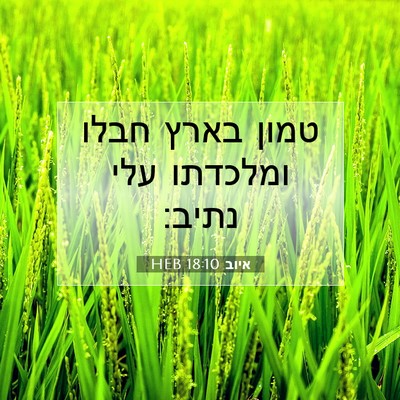 Picture 07 - איוב 18:10 HEB - טמון בארץ חבלו ומלכדתו עלי - Bible Verse Picture