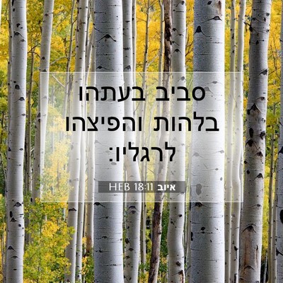 Picture 07 - איוב 18:11 HEB - סביב בעתהו בלהות והפיצהו - Bible Verse Picture