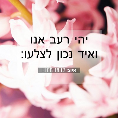 Picture 07 - איוב 18:12 HEB - יהי רעב אנו ואיד נכון - Bible Verse Picture