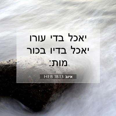 Picture 07 - איוב 18:13 HEB - יאכל בדי עורו יאכל בדיו - Bible Verse Picture