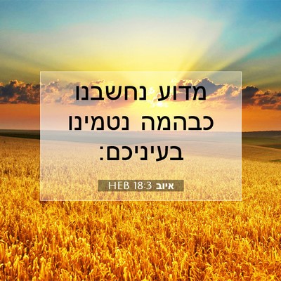 Picture 07 - איוב 18:3 HEB - מדוע נחשבנו כבהמה נטמינו - Bible Verse Picture