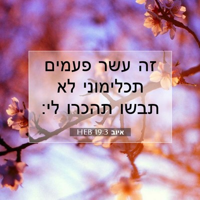 Picture 07 - איוב 19:3 HEB - זה עשר פעמים תכלימוני לא - Bible Verse Picture