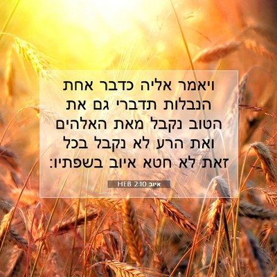 Picture 07 - איוב 2:10 HEB - ויאמר אליה כדבר אחת הנבלות - Bible Verse Picture