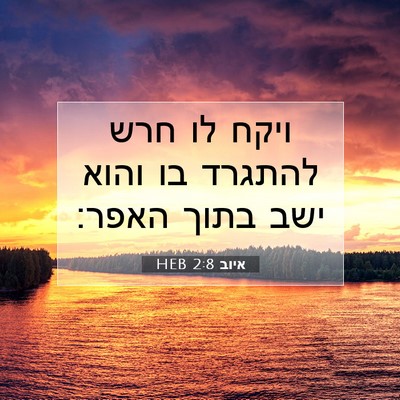 Picture 07 - איוב 2:8 HEB - ויקח לו חרש להתגרד בו והוא - Bible Verse Picture