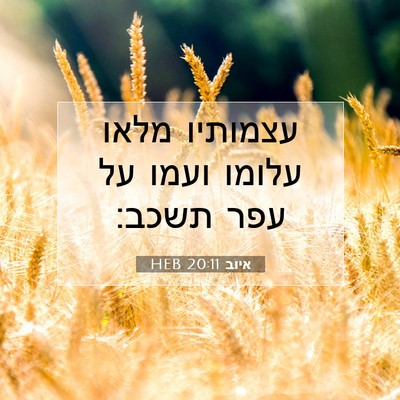 Picture 07 - איוב 20:11 HEB - עצמותיו מלאו עלומו ועמו על - Bible Verse Picture