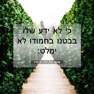 Picture 07 - איוב 20:20 HEB - כי לא ידע שלו בבטנו בחמודו - Bible Verse Picture
