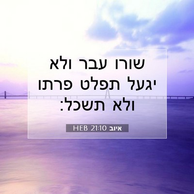 Picture 07 - איוב 21:10 HEB - שורו עבר ולא יגעל תפלט פרתו - Bible Verse Picture