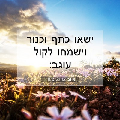 Picture 07 - איוב 21:12 HEB - ישאו כתף וכנור וישמחו לקול - Bible Verse Picture