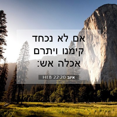 Picture 07 - איוב 22:20 HEB - אם לא נכחד קימנו ויתרם אכלה - Bible Verse Picture