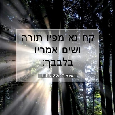 Picture 07 - איוב 22:22 HEB - קח נא מפיו תורה ושים אמריו - Bible Verse Picture