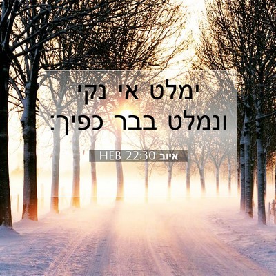Picture 07 - איוב 22:30 HEB - ימלט אי נקי ונמלט בבר - Bible Verse Picture