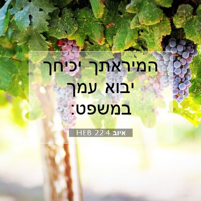 Picture 07 - איוב 22:4 HEB - המיראתך יכיחך יבוא עמך - Bible Verse Picture