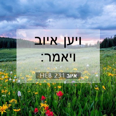 Picture 07 - איוב 23:1 HEB - ויען איוב - Bible Verse Picture