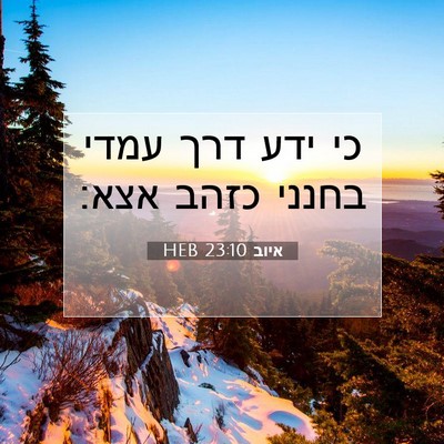 Picture 07 - איוב 23:10 HEB - כי ידע דרך עמדי בחנני כזהב - Bible Verse Picture