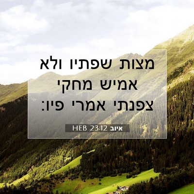 Picture 07 - איוב 23:12 HEB - מצות שפתיו ולא אמיש מחקי - Bible Verse Picture