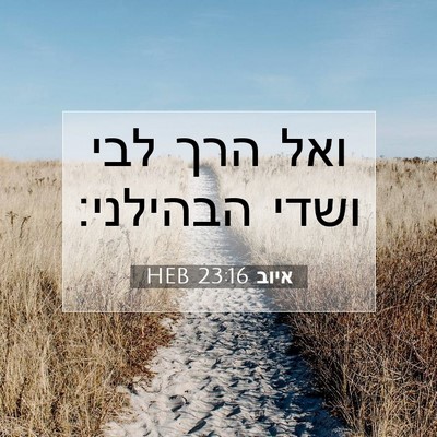 Picture 07 - איוב 23:16 HEB - ואל הרך לבי ושדי - Bible Verse Picture