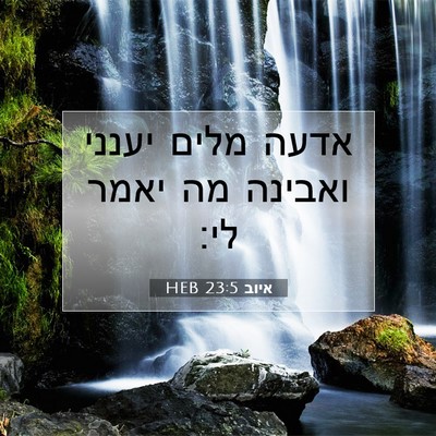 Picture 07 - איוב 23:5 HEB - אדעה מלים יענני ואבינה מה - Bible Verse Picture
