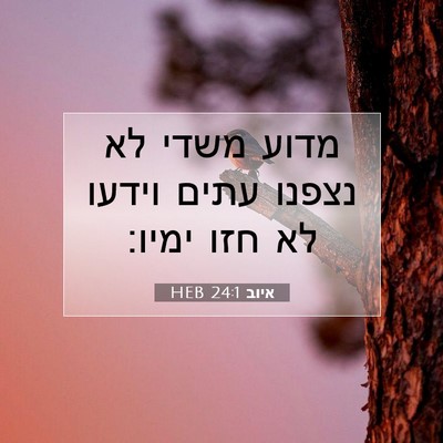 Picture 07 - איוב 24:1 HEB - מדוע משדי לא נצפנו עתים - Bible Verse Picture