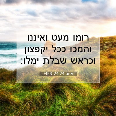 Picture 07 - איוב 24:24 HEB - רומו מעט ואיננו והמכו ככל - Bible Verse Picture