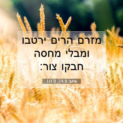 Picture 07 - איוב 24:8 HEB - מזרם הרים ירטבו ומבלי מחסה - Bible Verse Picture