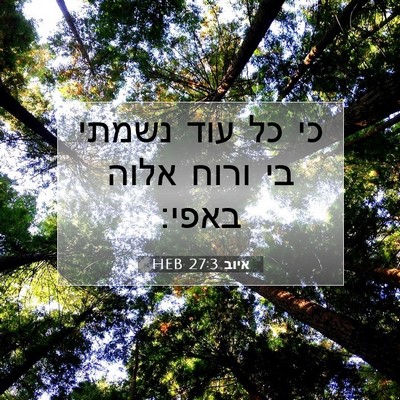 Picture 07 - איוב 27:3 HEB - כי כל עוד נשמתי בי ורוח - Bible Verse Picture