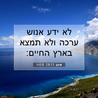 Picture 07 - איוב 28:13 HEB - לא ידע אנוש ערכה ולא תמצא - Bible Verse Picture