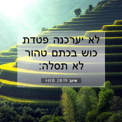 Picture 07 - איוב 28:19 HEB - לא יערכנה פטדת כוש בכתם - Bible Verse Picture