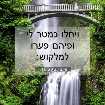 Picture 07 - איוב 29:23 HEB - ויחלו כמטר לי ופיהם פערו - Bible Verse Picture