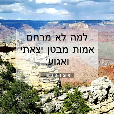 Picture 07 - איוב 3:11 HEB - למה לא מרחם אמות מבטן יצאתי - Bible Verse Picture