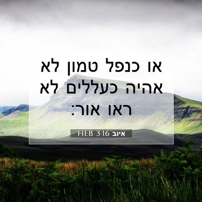 Picture 07 - איוב 3:16 HEB - או כנפל טמון לא אהיה כעללים - Bible Verse Picture