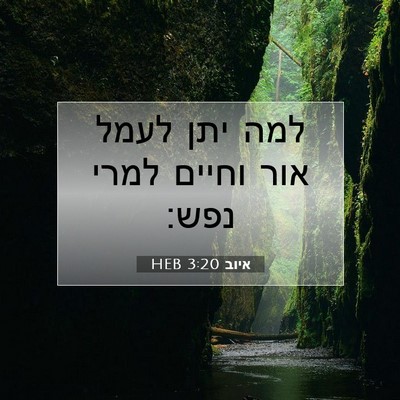 Picture 07 - איוב 3:20 HEB - למה יתן לעמל אור וחיים למרי - Bible Verse Picture
