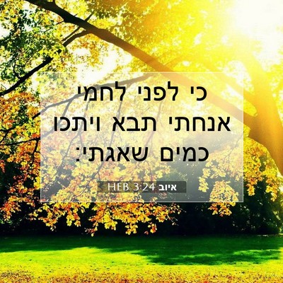 Picture 07 - איוב 3:24 HEB - כי לפני לחמי אנחתי תבא - Bible Verse Picture