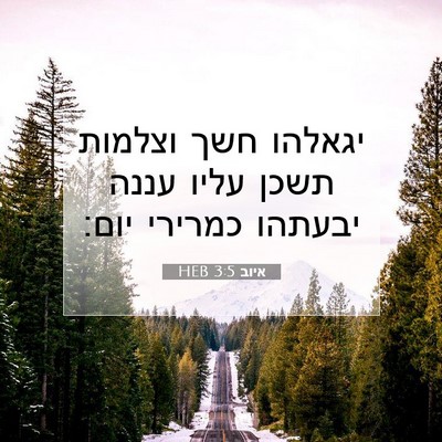 Picture 07 - איוב 3:5 HEB - יגאלהו חשך וצלמות תשכן - Bible Verse Picture