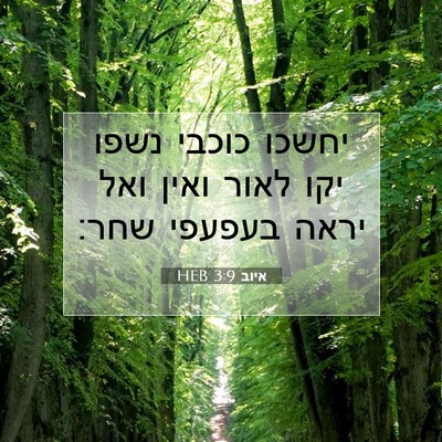 Picture 07 - איוב 3:9 HEB - יחשכו כוכבי נשפו יקו לאור - Bible Verse Picture