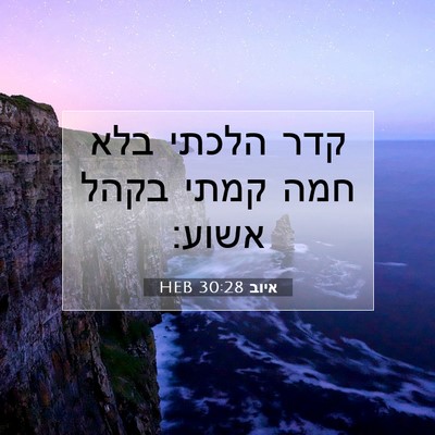 Picture 07 - איוב 30:28 HEB - קדר הלכתי בלא חמה קמתי בקהל - Bible Verse Picture