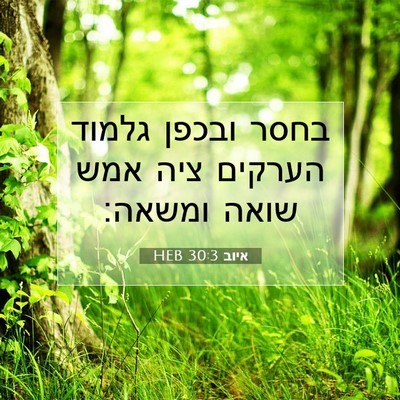 Picture 07 - איוב 30:3 HEB - בחסר ובכפן גלמוד הערקים - Bible Verse Picture