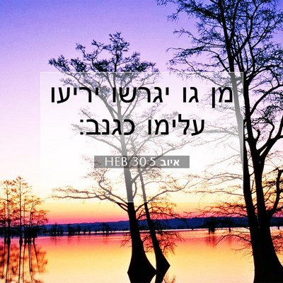 Picture 07 - איוב 30:5 HEB - מן גו יגרשו יריעו עלימו - Bible Verse Picture