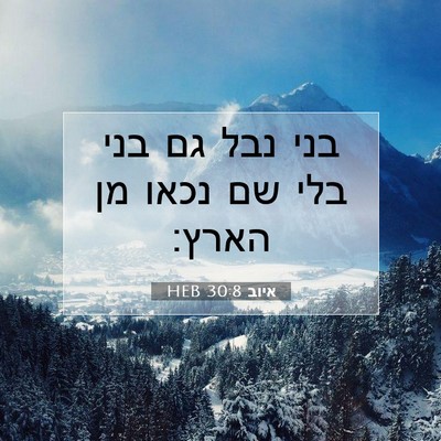 Picture 07 - איוב 30:8 HEB - בני נבל גם בני בלי שם נכאו - Bible Verse Picture