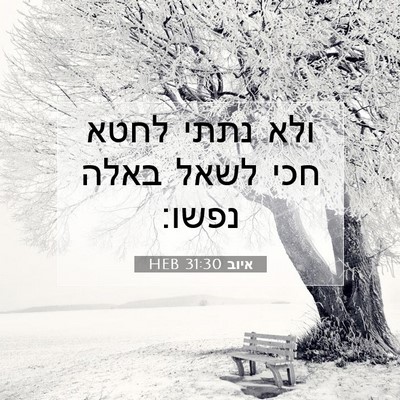Picture 07 - איוב 31:30 HEB - ולא נתתי לחטא חכי לשאל באלה - Bible Verse Picture