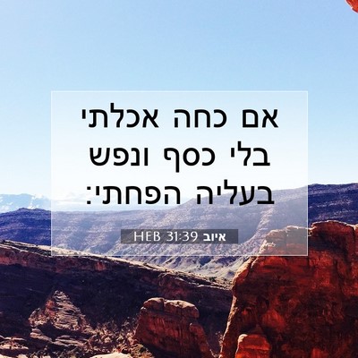Picture 07 - איוב 31:39 HEB - אם כחה אכלתי בלי כסף ונפש - Bible Verse Picture