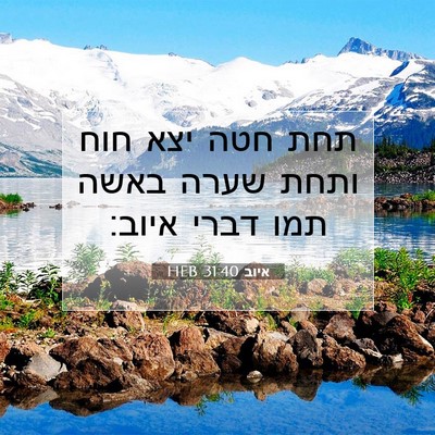 Picture 07 - איוב 31:40 HEB - תחת חטה יצא חוח ותחת שערה - Bible Verse Picture