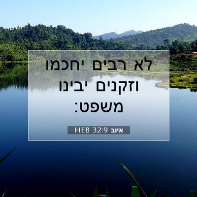 Picture 07 - איוב 32:9 HEB - לא רבים יחכמו וזקנים יבינו - Bible Verse Picture