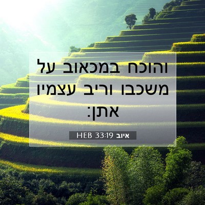 Picture 07 - איוב 33:19 HEB - והוכח במכאוב על משכבו וריב - Bible Verse Picture