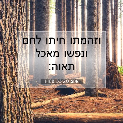 Picture 07 - איוב 33:20 HEB - וזהמתו חיתו לחם ונפשו מאכל - Bible Verse Picture
